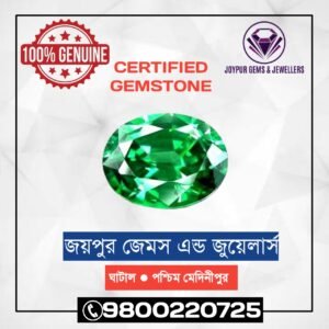 WhatsApp Image 2021-01-04 at 6.05.02 PM (1)