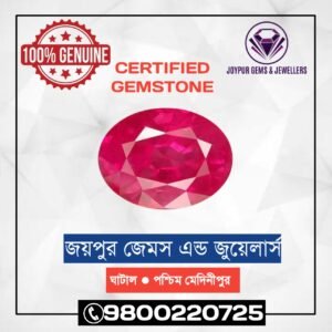 WhatsApp Image 2021-01-04 at 6.05.02 PM